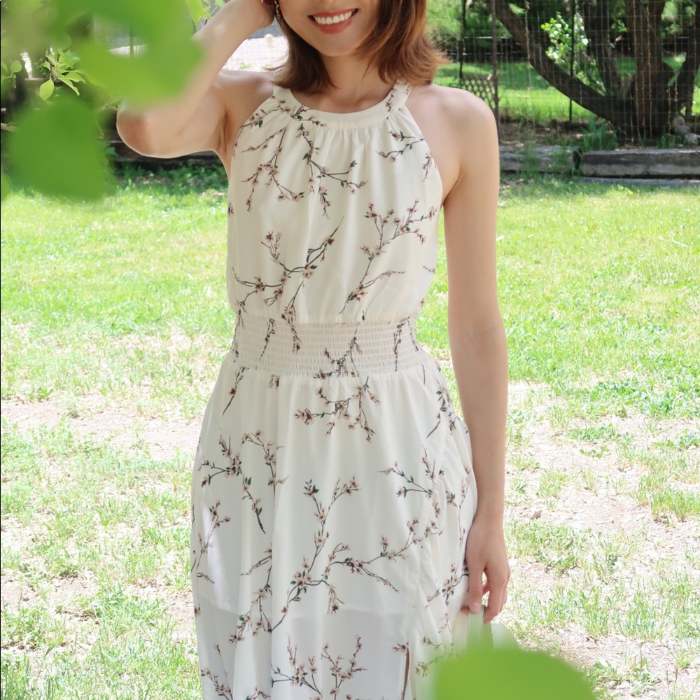 Petite Studio Rio Dress